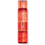 بادی اسپلش بث اند بادی ورکس _Bath and Body Works Seeing Rouge Fine Fragrance Mist
