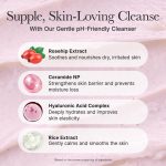 شوینده رزهیپ آرنسیا متعادل کننده PH و تقویت سد دفاعی پوست_Arencia Rosehip Mild pH Balancing Rice Cake Cleanser - Image 3