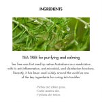 ضد آفتاب فیزیکی تسکین‌دهنده درخت چای دکتر سراکل SPF50+ PA++++Dr. Ceuracle Tea Tree Purifine Green Up Sun SPF50+ PA++++ - Image 6