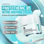 ژل کرم مرطوب‌کننده و تسکین‌دهنده شماره ۱ نامبوزینNumbuzin No.1 Pantothenic B5 Active Soothing Cream - Image 5