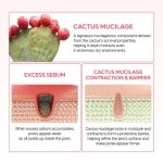 کرم کپسولی دوگانه کاکتوکس PDRN دکتر ملاکسین جمع‌کننده منافذ_Dr.Melaxin Cactox Pore Dual Capsule Cream - Image 2