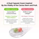 کرم کپسولی دوگانه کاکتوکس PDRN دکتر ملاکسین جمع‌کننده منافذ_Dr.Melaxin Cactox Pore Dual Capsule Cream - Image 7