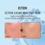 کرم دبل چندکاره اپای حاوی اکتوئین و پانتنول _ترمیم‌کننده و آبرسان قوی_EPII Double Up Cream Ectoin & Panthenol - Image 2
