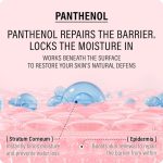 کرم دبل چندکاره اپای حاوی اکتوئین و پانتنول _ترمیم‌کننده و آبرسان قوی_EPII Double Up Cream Ectoin & Panthenol - Image 4