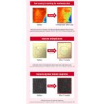 ضدآفتاب سرمی جوانساز و روشن‌کننده کاملیا راندلب SPF50+ PA++++_Round Lab Camellia Deep Collagen Firming Sun Serum SPF50+ PA++++ - Image 4